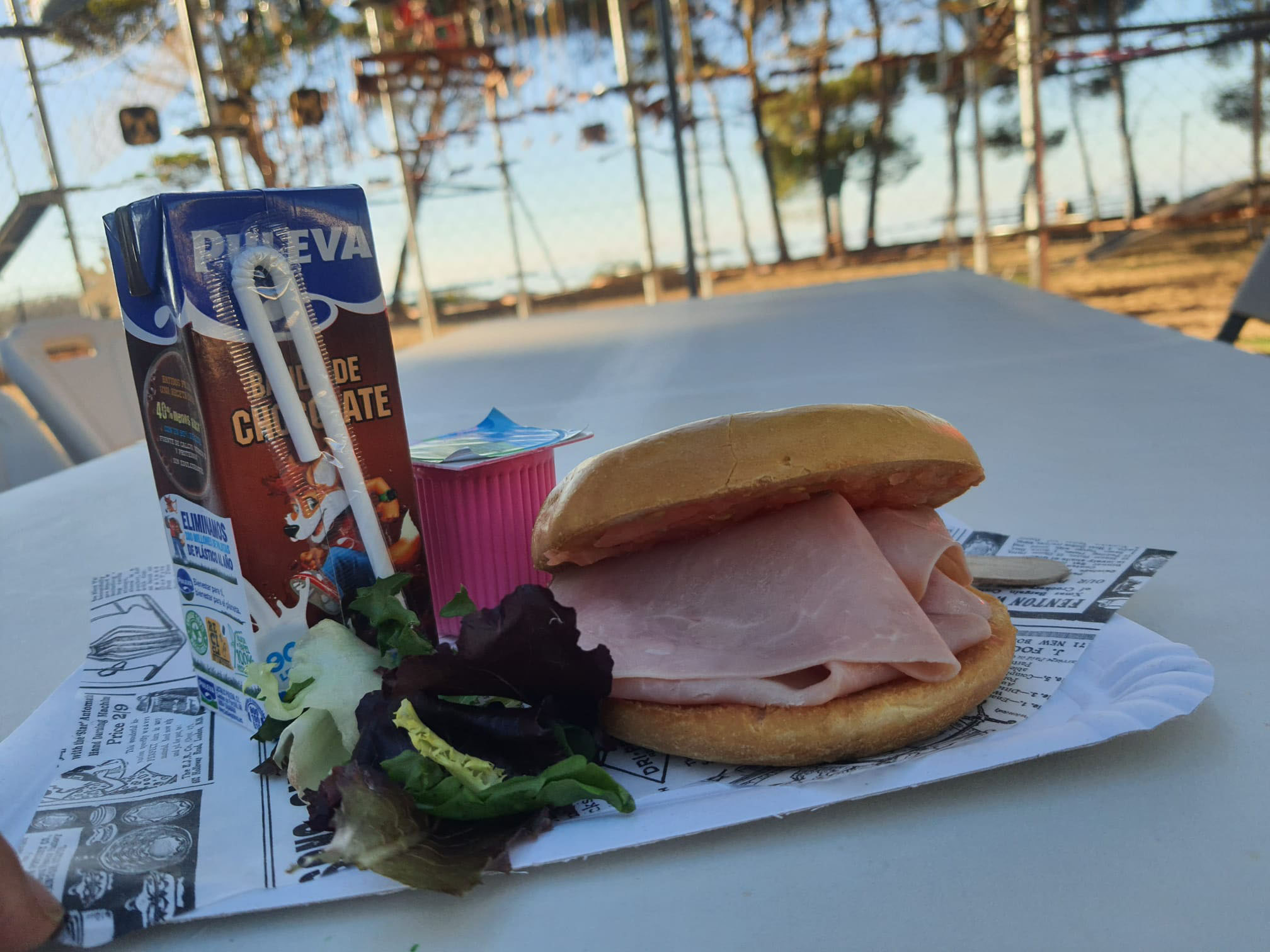 Comida (24
