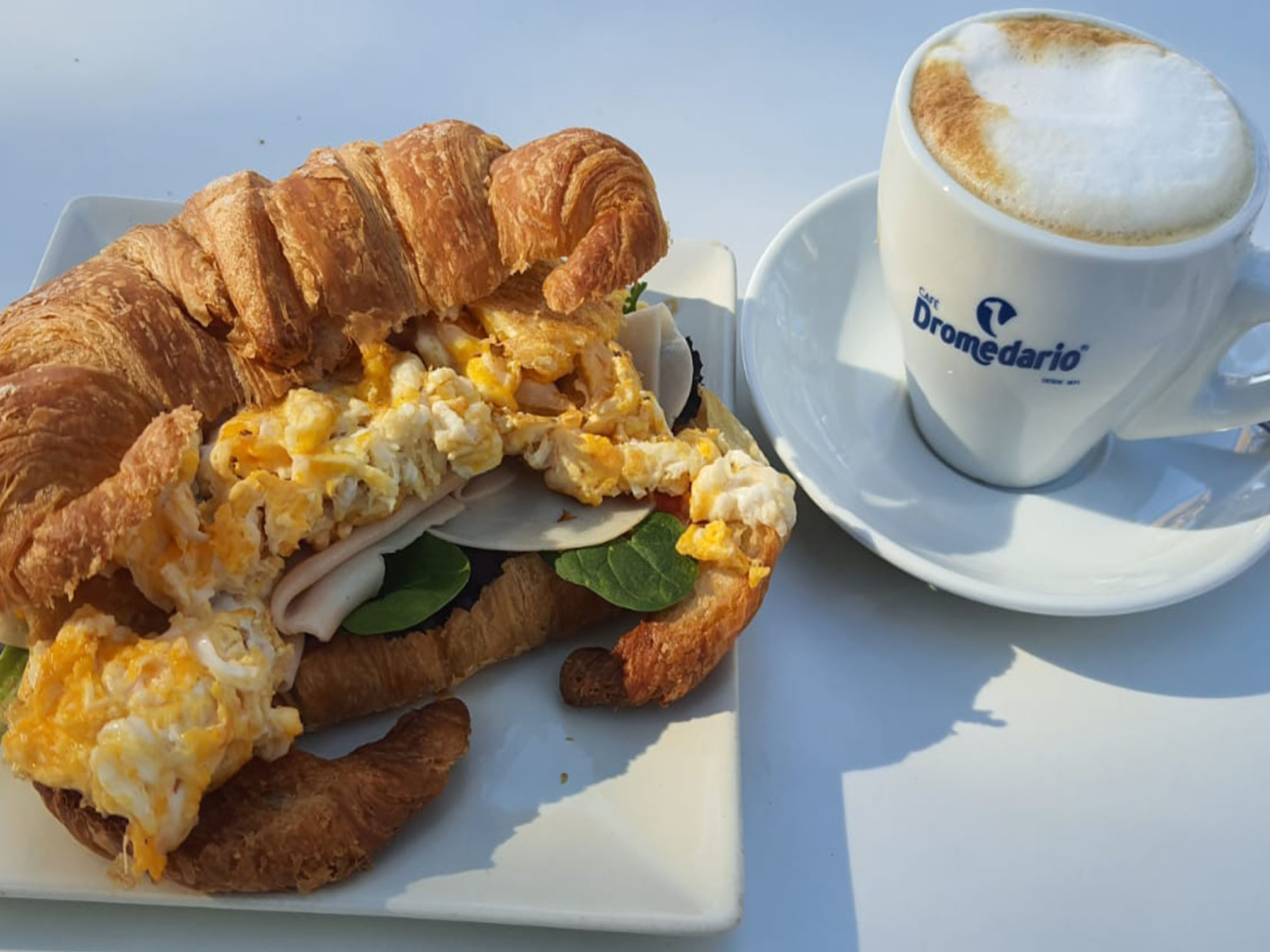 Comida (6